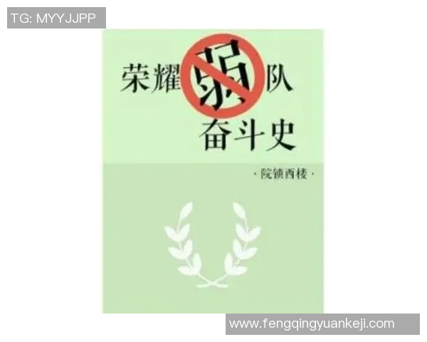 武汉足球队的奋斗与荣耀：一段激动人心的突破之旅